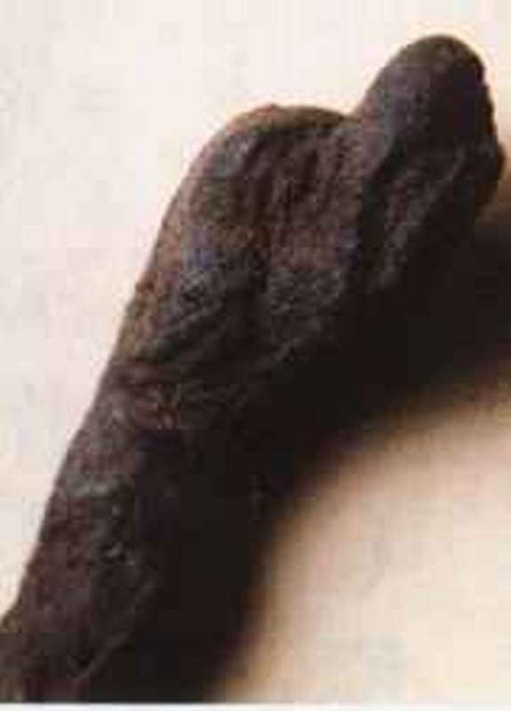 drakenkopje, gevonden bij de opgravingen in 1994 in de bouwput voor Nieuw Clarenberg